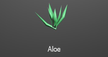 AloePlant.png